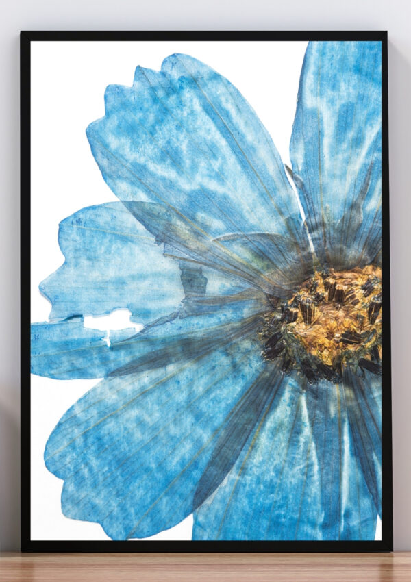 Cuadro foto flor celeste