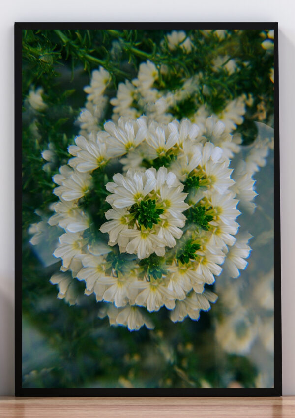 Cuadro foto distorsionada de flores blancas