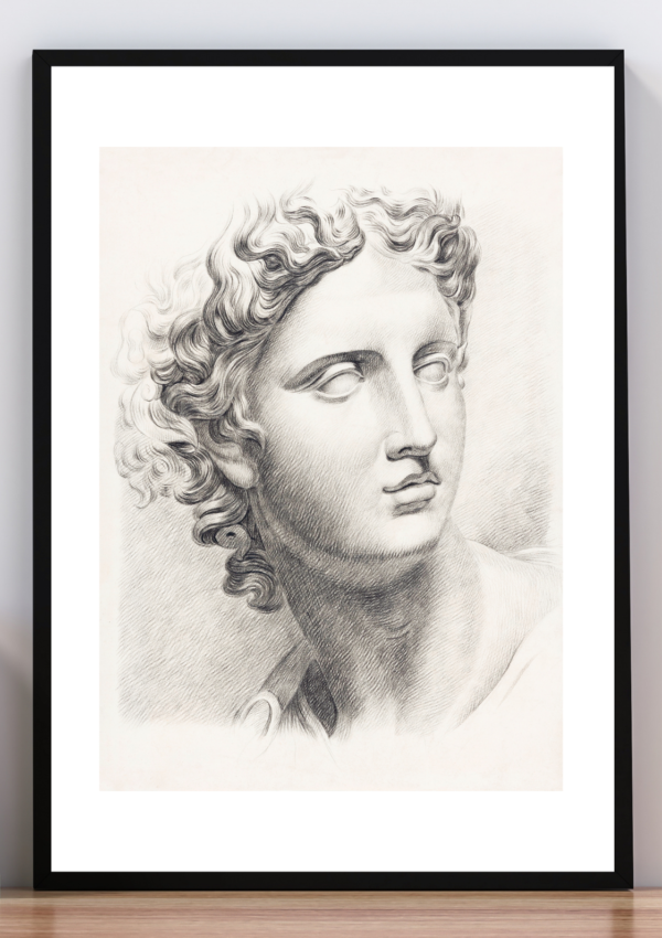 Cuadro Apolo de Belvedere