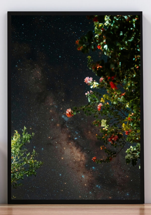 Cuadro foto estrellas y flores