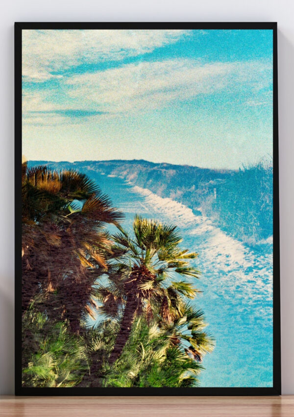 Cuadro Foto playa y palmeras