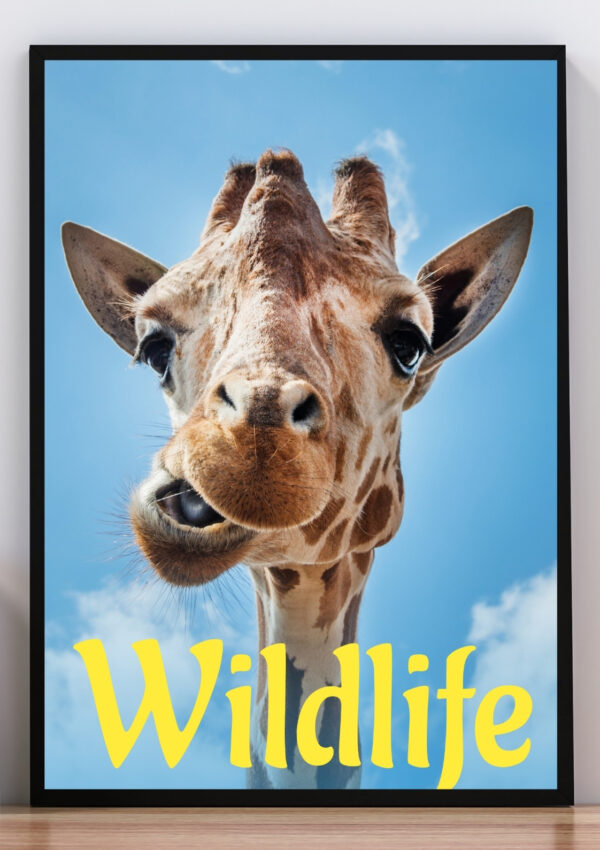 cuadro ilustración jirafa wildlife