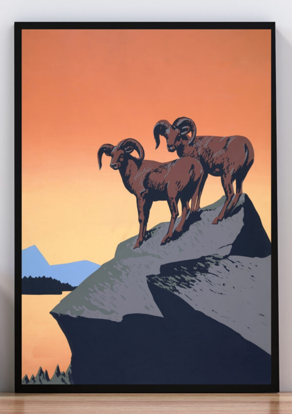 cuadro ilustracion carneros