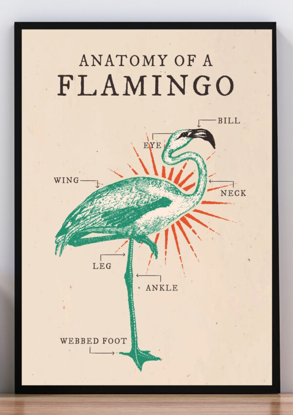 Cuadro anatomy flamenco