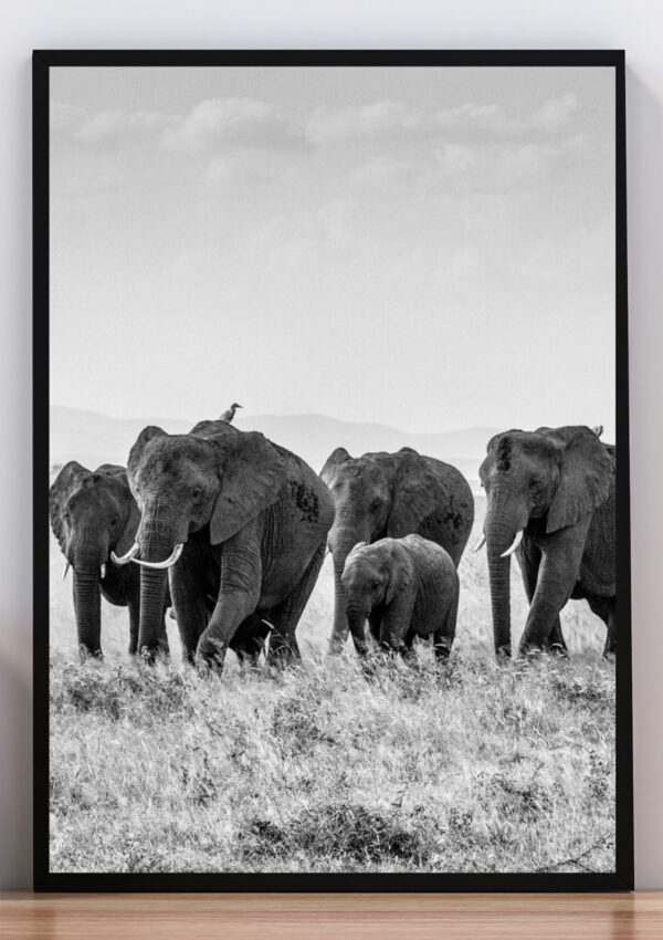 Cuadro elefantes