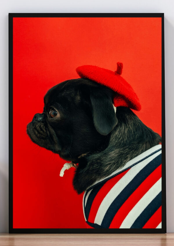 Cuadro Perro Bulldog francés