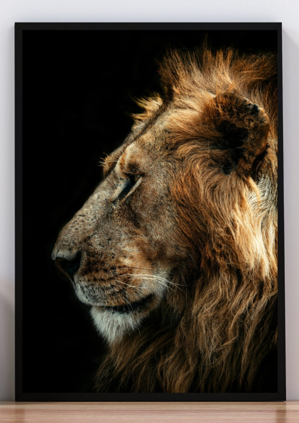 Foto perfil de león