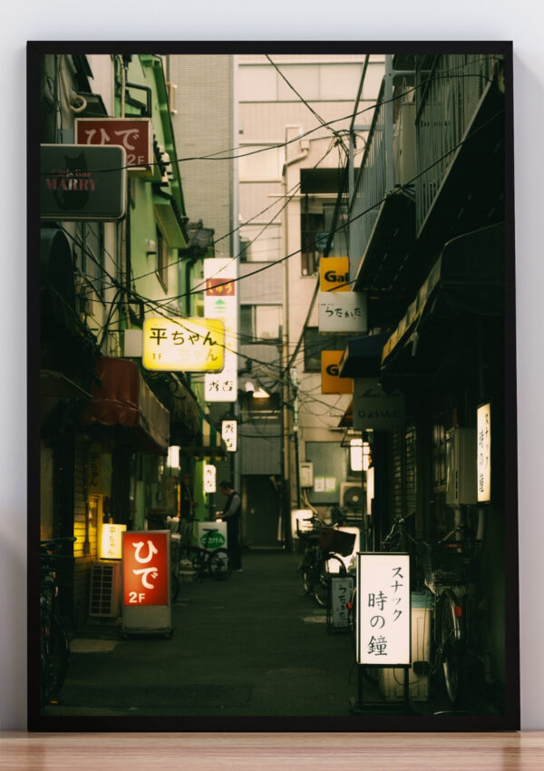 Cuadro foto callejón de Japón