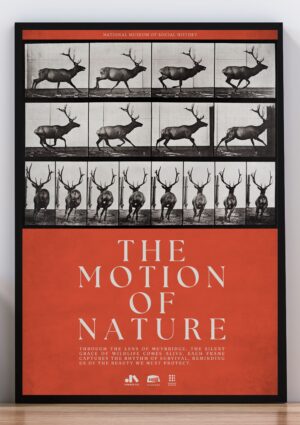 Cuadro poster national museum of social History I