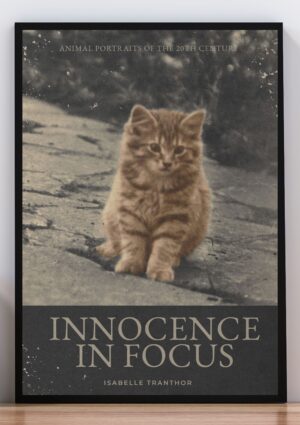 Cuadro poster innocence in focus