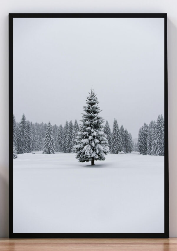 Cuadro foto invernal