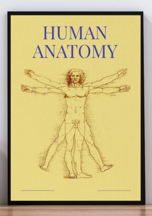 Cuadro poster human anatomy