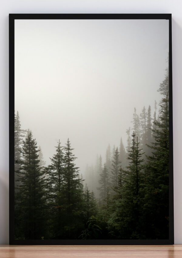 Cuadro monte de pinos