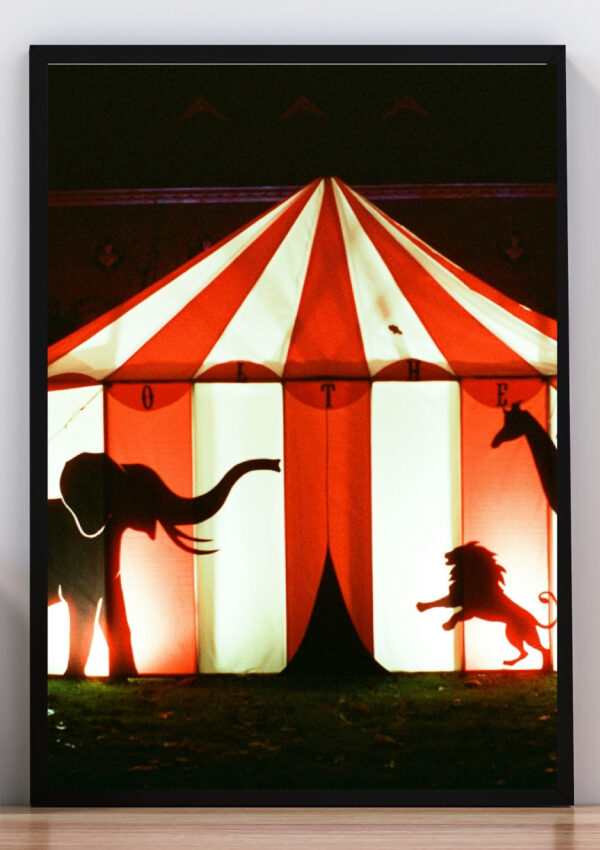 Cuadro, luces y sombras circo